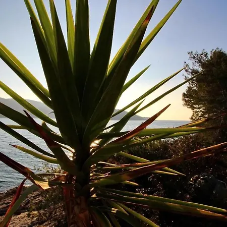 Bili Zal فيلا لوكا