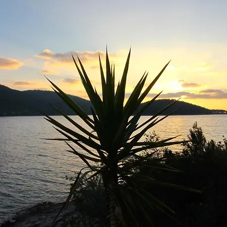 بيت للعطل Bili Zal *